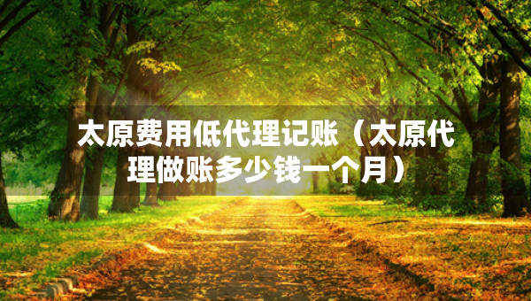 太原費(fèi)用低代理記賬（太原代理做賬多少錢一個(gè)月）