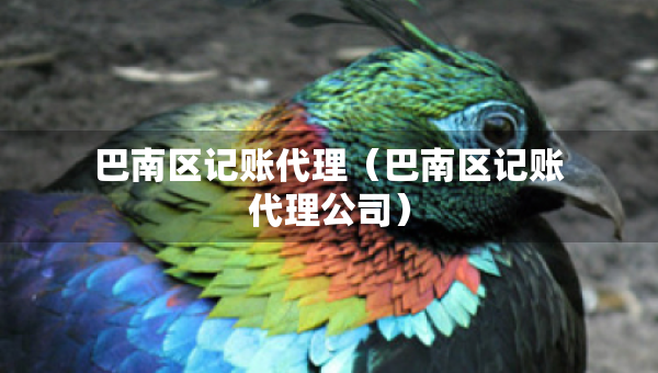巴南區(qū)記賬代理（巴南區(qū)記賬代理公司）