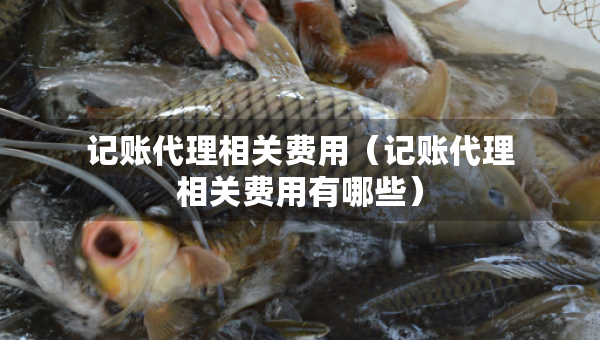 記賬代理相關(guān)費(fèi)用(記賬代理相關(guān)費(fèi)用有哪些) 記賬代理相關(guān)費(fèi)用(記賬代理相關(guān)費(fèi)用有哪些)
