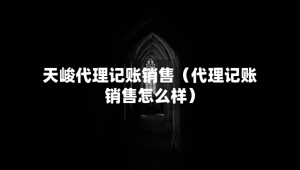 天峻代理記賬銷售（代理記賬銷售怎么樣）