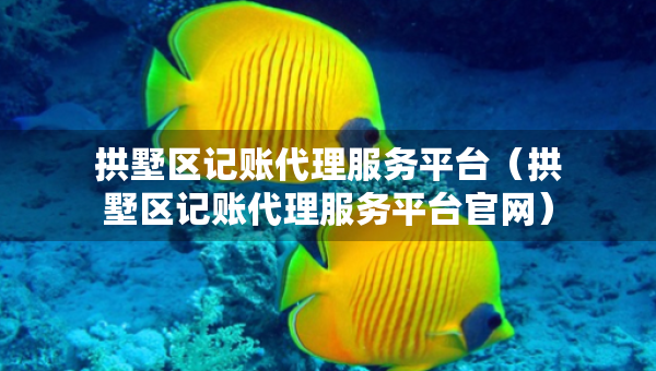 拱墅區(qū)記賬代理服務(wù)平臺（拱墅區(qū)記賬代理服務(wù)平臺官網(wǎng)）