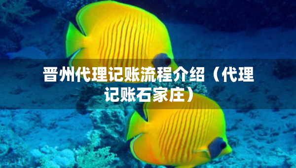 晉州代理記賬流程介紹（代理記賬石家莊）