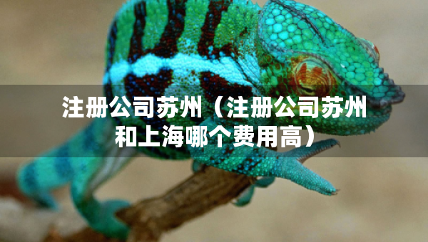 注冊公司蘇州（注冊公司蘇州和上海哪個費用高）