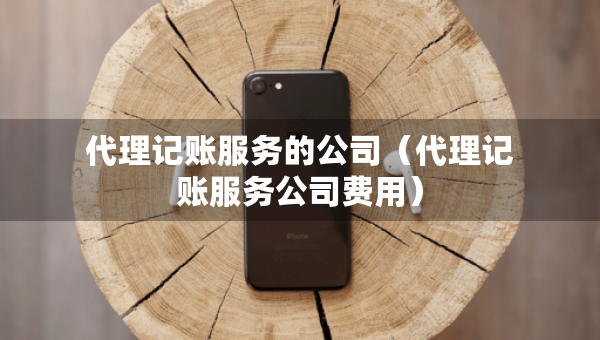 代理記賬服務(wù)的公司(代理記賬服務(wù)公司費(fèi)用) 代理記賬服務(wù)的公司(代理記賬服務(wù)公司費(fèi)用)