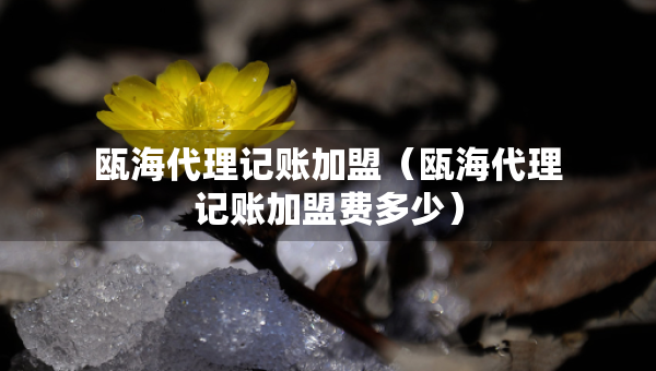 甌海代理記賬加盟(甌海代理記賬加盟費多少) 甌海代理記賬加盟(甌海代理記賬加盟費多少)
