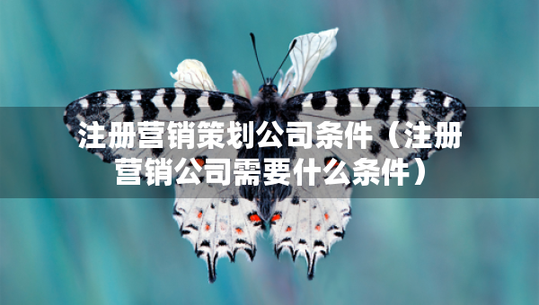 注冊營銷策劃公司條件(注冊營銷公司需要什么條件) 注冊營銷策劃公司條件(注冊營銷公司需要什么條件)