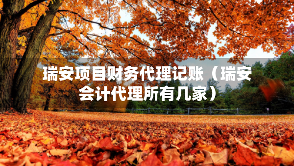 瑞安項(xiàng)目財(cái)務(wù)代理記賬（瑞安會(huì)計(jì)代理所有幾家）