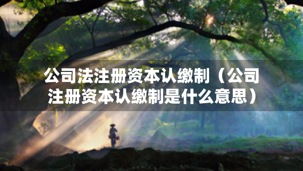 公司法注冊(cè)資本認(rèn)繳制（公司注冊(cè)資本認(rèn)繳制是什么意思）