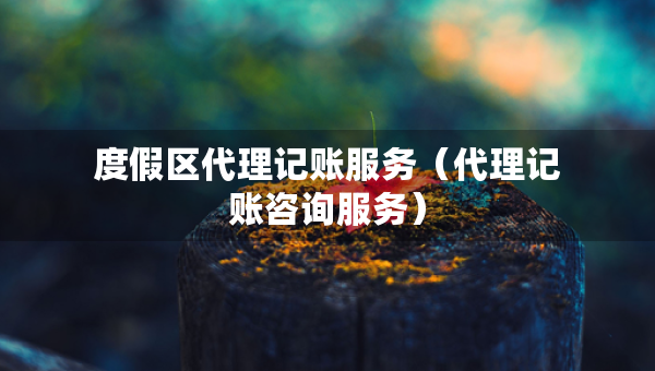 度假區(qū)代理記賬服務(wù)（代理記賬咨詢服務(wù)）