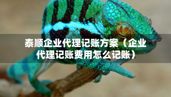 泰順企業(yè)代理記賬方案（企業(yè)代理記賬費用怎么記賬）