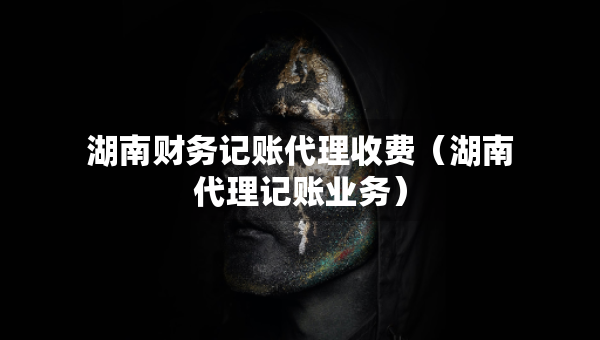 湖南財(cái)務(wù)記賬代理收費(fèi)（湖南代理記賬業(yè)務(wù)）