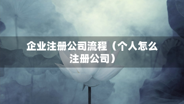 企業(yè)注冊公司流程（個人怎么注冊公司）