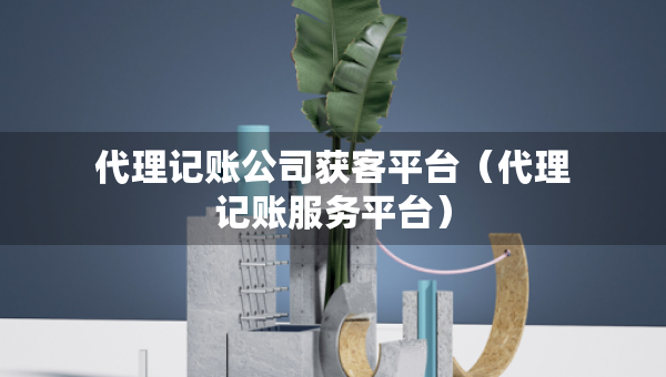 代理記賬公司獲客平臺(tái)（代理記賬服務(wù)平臺(tái)）
