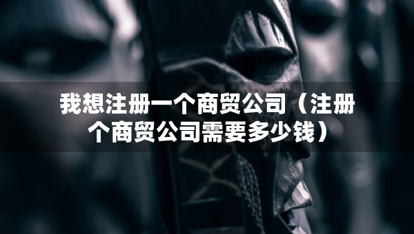 我想注冊一個商貿(mào)公司（注冊個商貿(mào)公司需要多少錢）