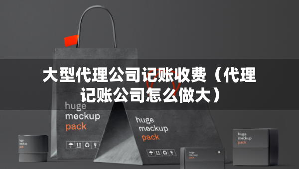 大型代理公司記賬收費（代理記賬公司怎么做大）