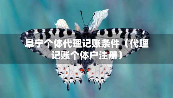 阜寧個體代理記賬條件（代理記賬個體戶注冊）
