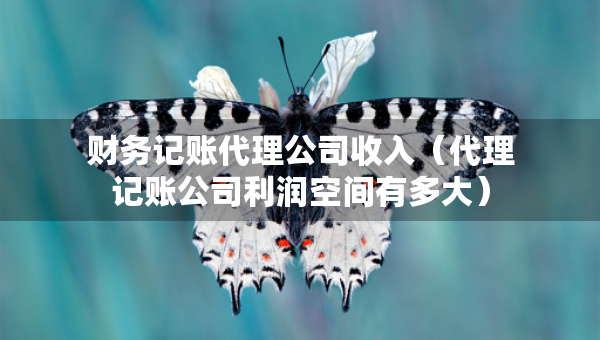 財務(wù)記賬代理公司收入（代理記賬公司利潤空間有多大）