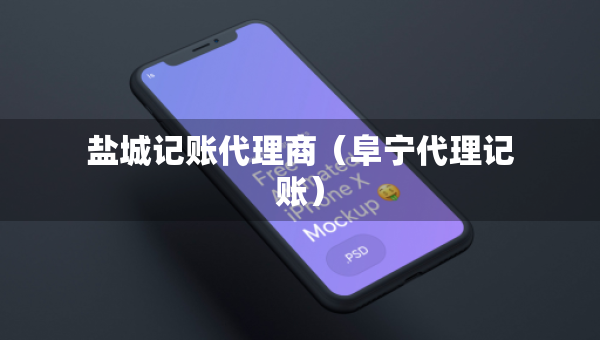 鹽城記賬代理商（阜寧代理記賬）