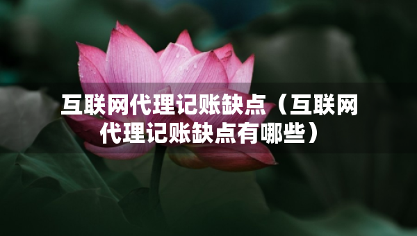 互聯(lián)網(wǎng)代理記賬缺點(diǎn)（互聯(lián)網(wǎng)代理記賬缺點(diǎn)有哪些）