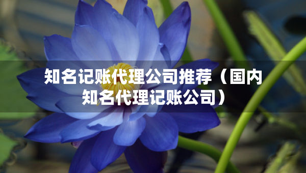 知名記賬代理公司推薦（國內(nèi)知名代理記賬公司）