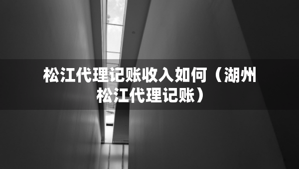松江代理記賬收入如何（湖州松江代理記賬）