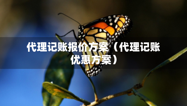 代理記賬報(bào)價(jià)方案（代理記賬優(yōu)惠方案）