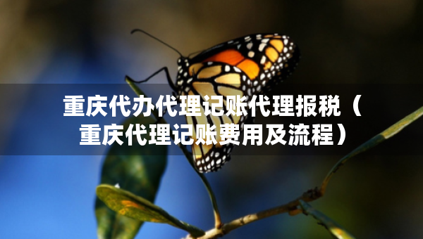 重慶代辦代理記賬代理報(bào)稅（重慶代理記賬費(fèi)用及流程）