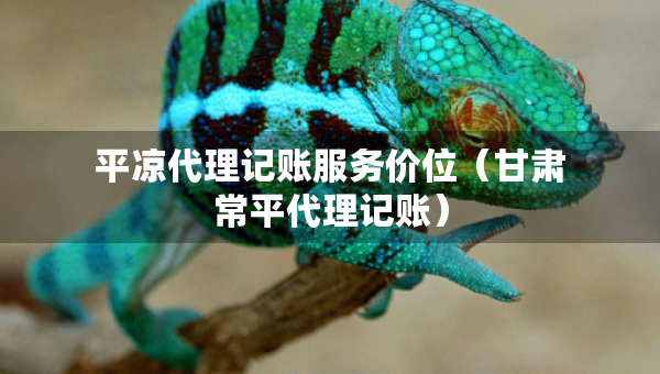 平?jīng)龃碛涃~服務(wù)價(jià)位（甘肅常平代理記賬）