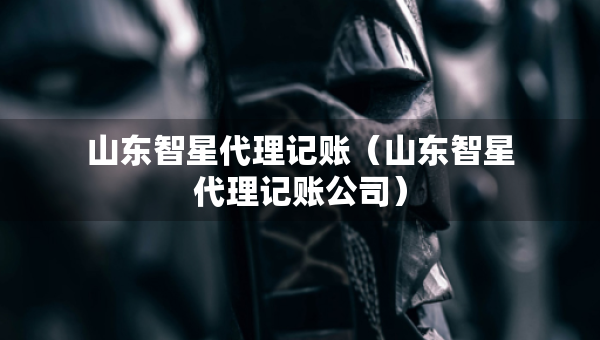 山東智星代理記賬（山東智星代理記賬公司）
