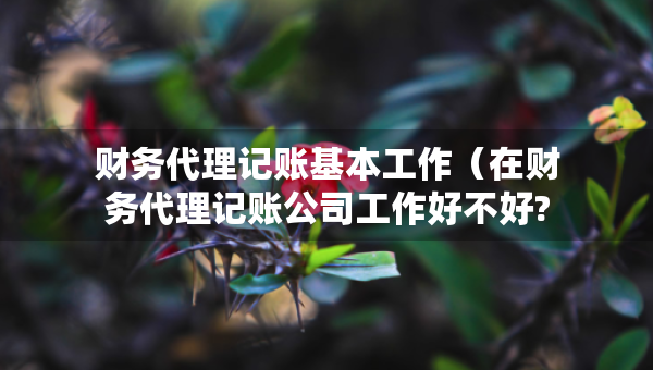 財(cái)務(wù)代理記賬基本工作（在財(cái)務(wù)代理記賬公司工作好不好?）