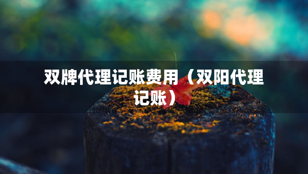 雙牌代理記賬費(fèi)用（雙陽(yáng)代理記賬）