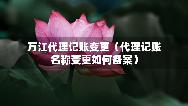 萬江代理記賬變更（代理記賬名稱變更如何備案）