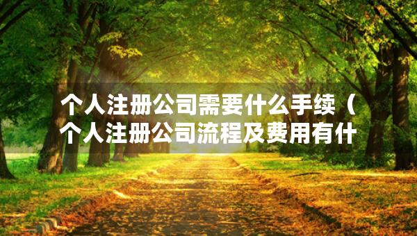 個人注冊公司需要什么手續(xù)（個人注冊公司流程及費用有什么規(guī)定）