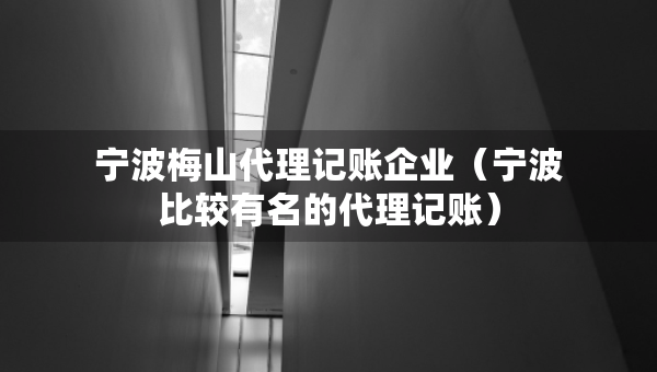 寧波梅山代理記賬企業(yè)（寧波比較有名的代理記賬）