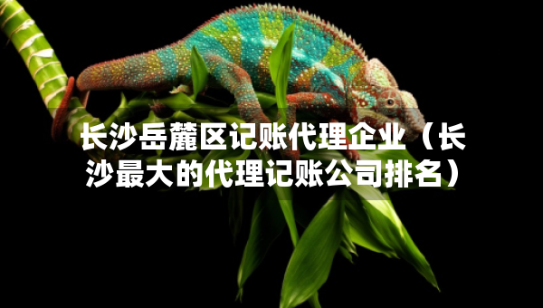 長沙岳麓區(qū)記賬代理企業(yè)（長沙最大的代理記賬公司排名）