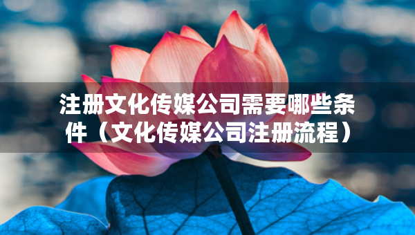 注冊(cè)文化傳媒公司需要哪些條件（文化傳媒公司注冊(cè)流程）