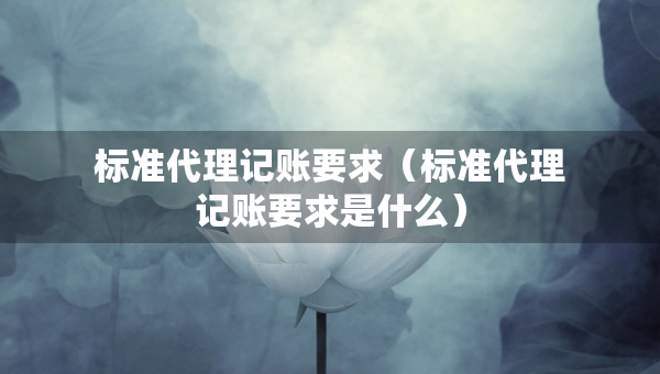 標(biāo)準(zhǔn)代理記賬要求（標(biāo)準(zhǔn)代理記賬要求是什么）