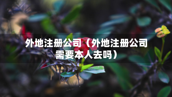 外地注冊公司（外地注冊公司需要本人去嗎）
