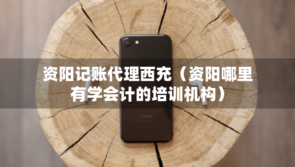 資陽記賬代理西充（資陽哪里有學(xué)會(huì)計(jì)的培訓(xùn)機(jī)構(gòu)）
