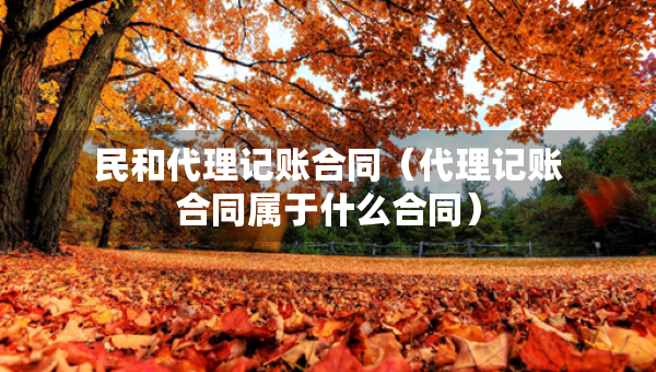 民和代理記賬合同(代理記賬合同屬于什么合同) 民和代理記賬合同(代理記賬合同屬于什么合同)