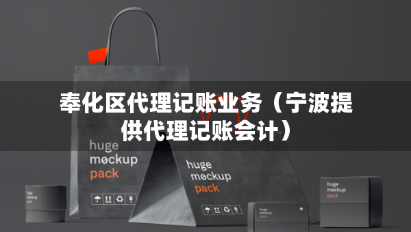 奉化區(qū)代理記賬業(yè)務(wù)（寧波提供代理記賬會(huì)計(jì)）