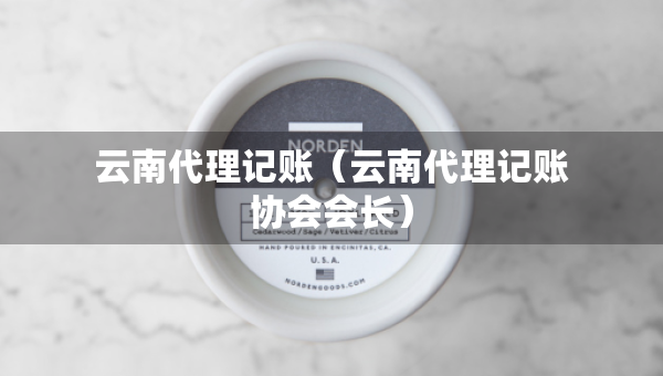 云南代理記賬（云南代理記賬協(xié)會(huì)會(huì)長）