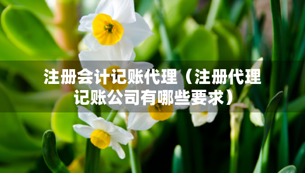 注冊(cè)會(huì)計(jì)記賬代理(注冊(cè)代理記賬公司有哪些要求) 注冊(cè)會(huì)計(jì)記賬代理(注冊(cè)代理記賬公司有哪些要求)