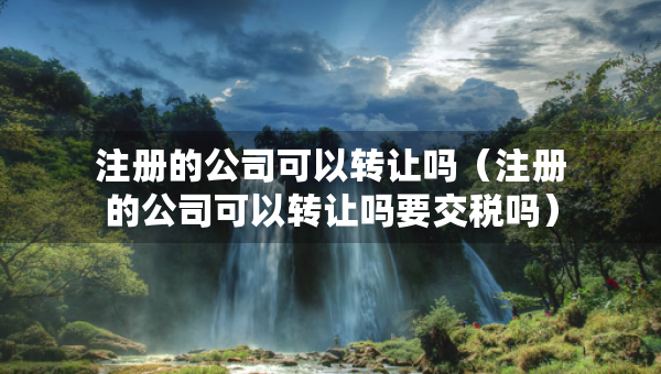 注冊的公司可以轉(zhuǎn)讓嗎（注冊的公司可以轉(zhuǎn)讓嗎要交稅嗎）