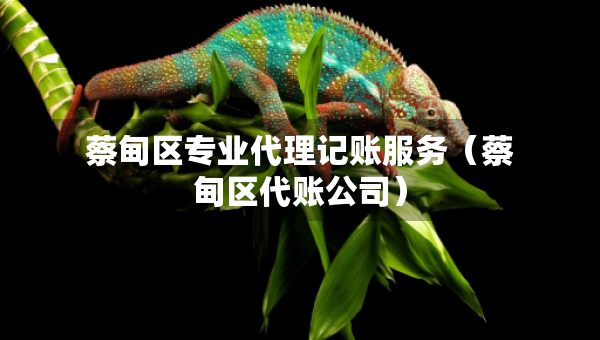 蔡甸區(qū)專業(yè)代理記賬服務(wù)（蔡甸區(qū)代賬公司）