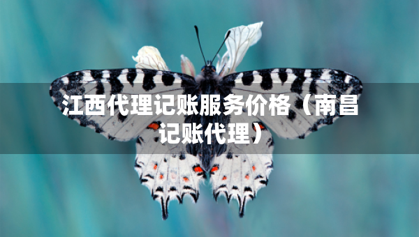 江西代理記賬服務(wù)價(jià)格（南昌記賬代理）