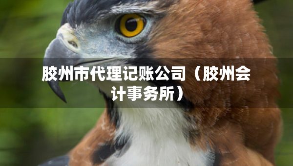 膠州市代理記賬公司（膠州會計事務(wù)所）