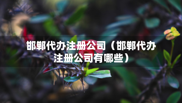 邯鄲代辦注冊(cè)公司（邯鄲代辦注冊(cè)公司有哪些）
