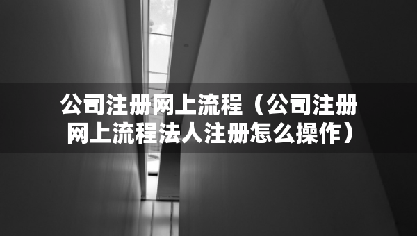 公司注冊(cè)網(wǎng)上流程（公司注冊(cè)網(wǎng)上流程法人注冊(cè)怎么操作）
