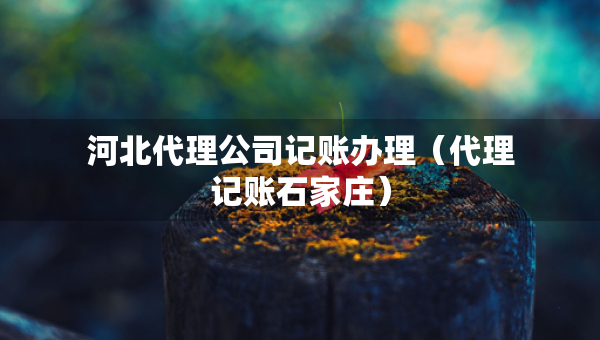 河北代理公司記賬辦理（代理記賬石家莊）